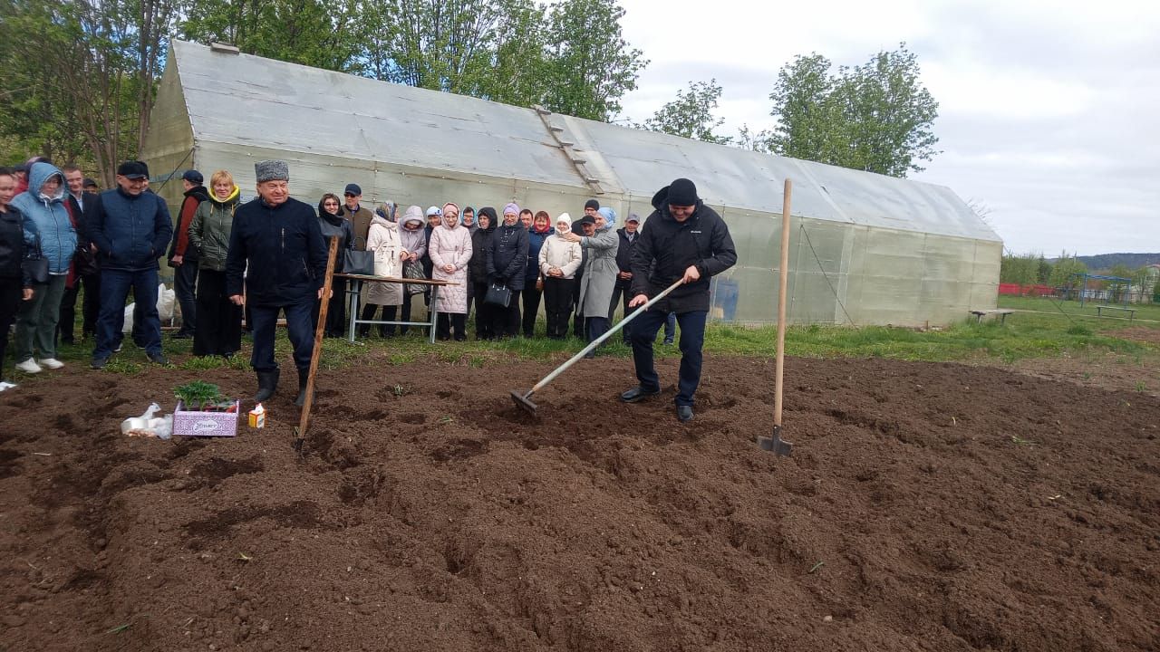 Харис Бәдретдинович бакча серләренә төшендерде (фото)