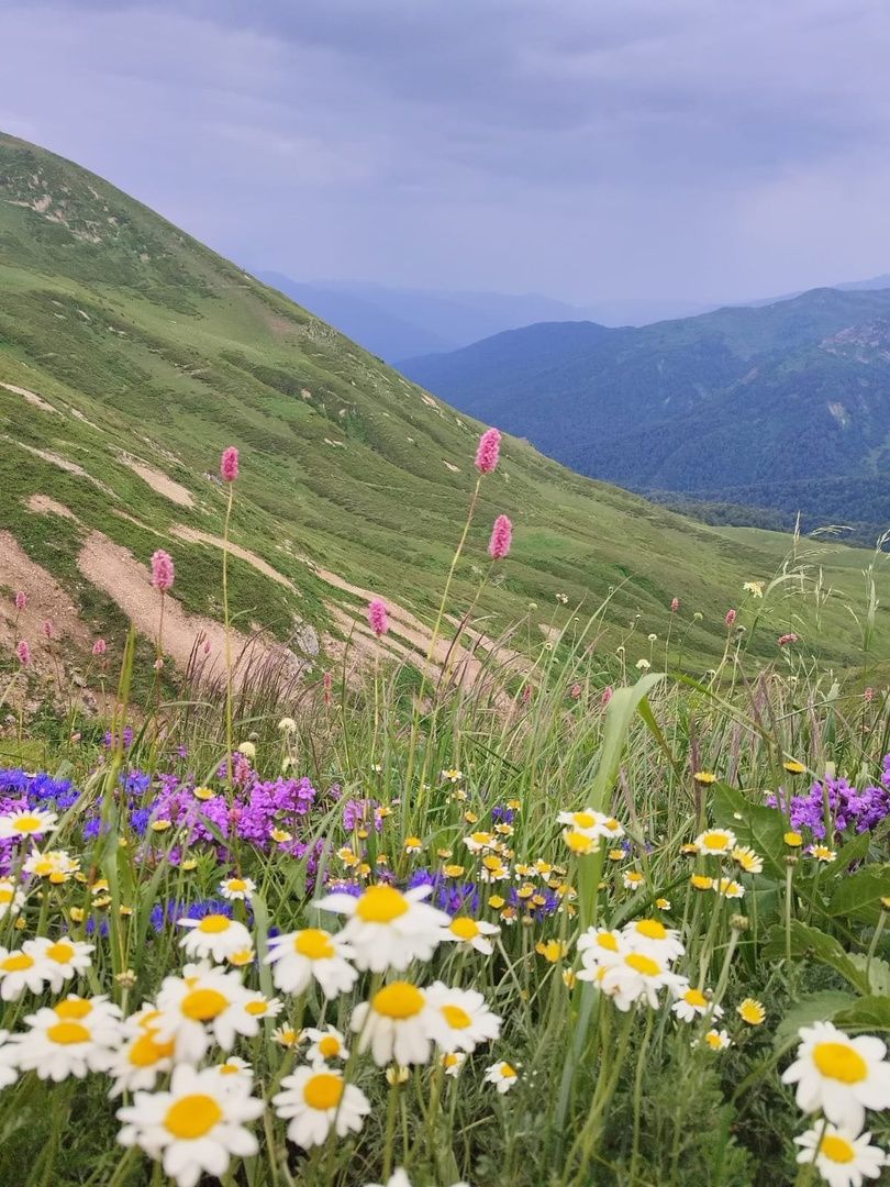 Смәел егетләре Кавказны яулый (фото)