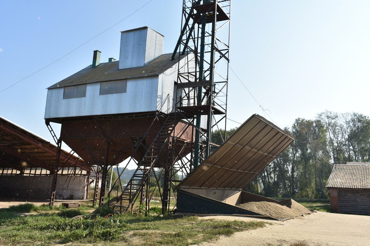 «Арбор»лылар күпьеллыкларның өченче катыннан сенаж сала (фото)