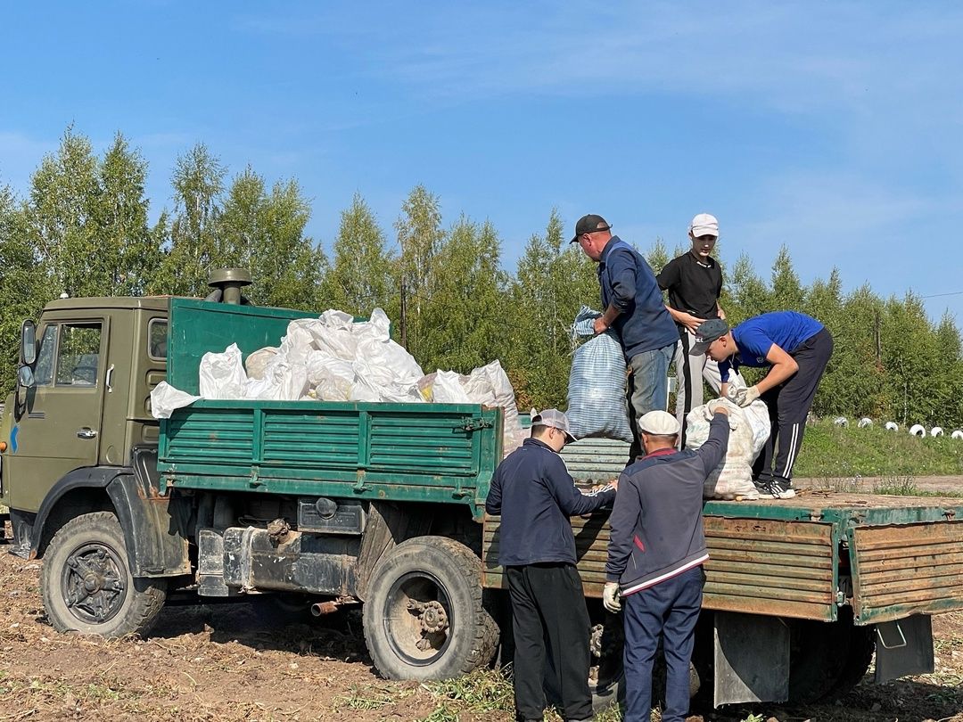 Арча аграр-сәнәгать һөнәр көллиятенең 2нче филиалы студентлары бүген өмә ясап, бәрәңге алдылар (фото)