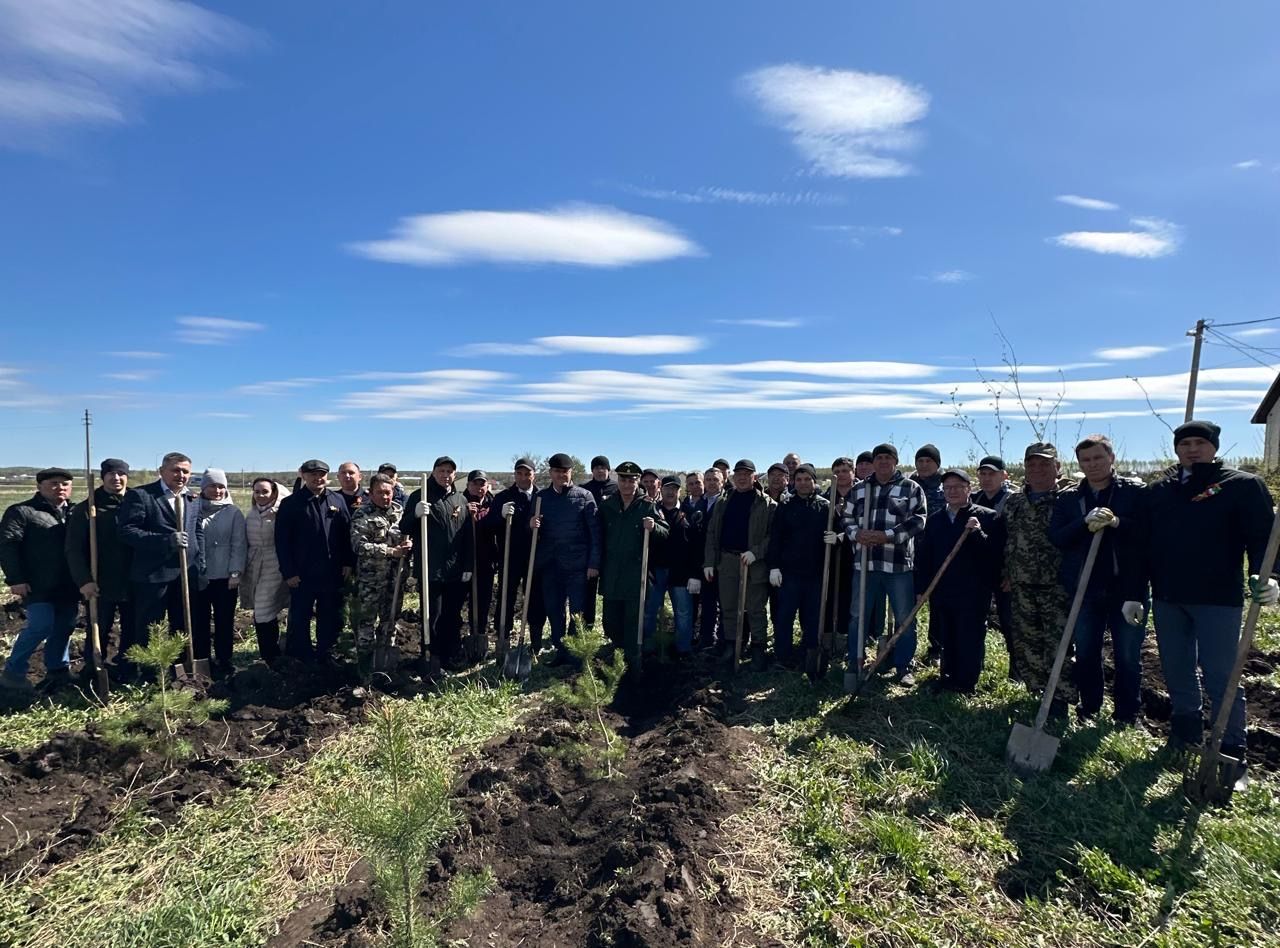 Бөек Җиңүнең 80 еллыгы уңаеннан Балтачта  җитәкчеләр агачлар утырттылар