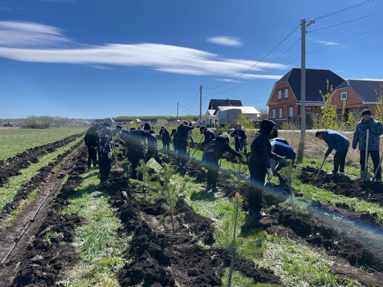 Бөек Җиңүнең 80 еллыгы уңаеннан Балтачта  җитәкчеләр агачлар утырттылар