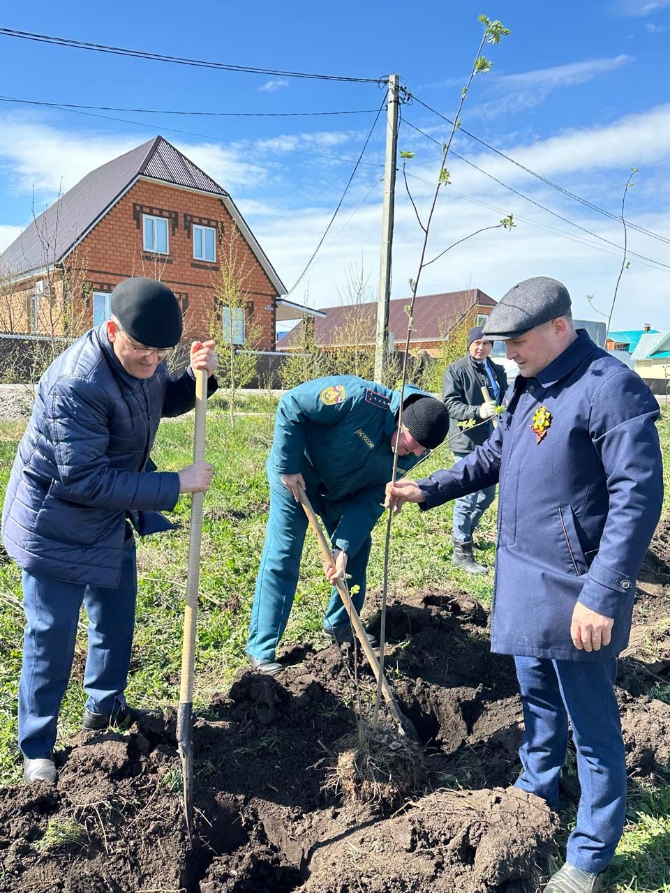 Бөек Җиңүнең 80 еллыгы уңаеннан Балтачта  җитәкчеләр агачлар утырттылар