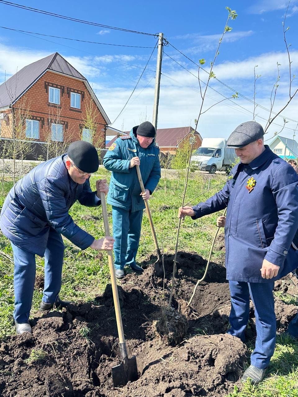 Бөек Җиңүнең 80 еллыгы уңаеннан Балтачта  җитәкчеләр агачлар утырттылар