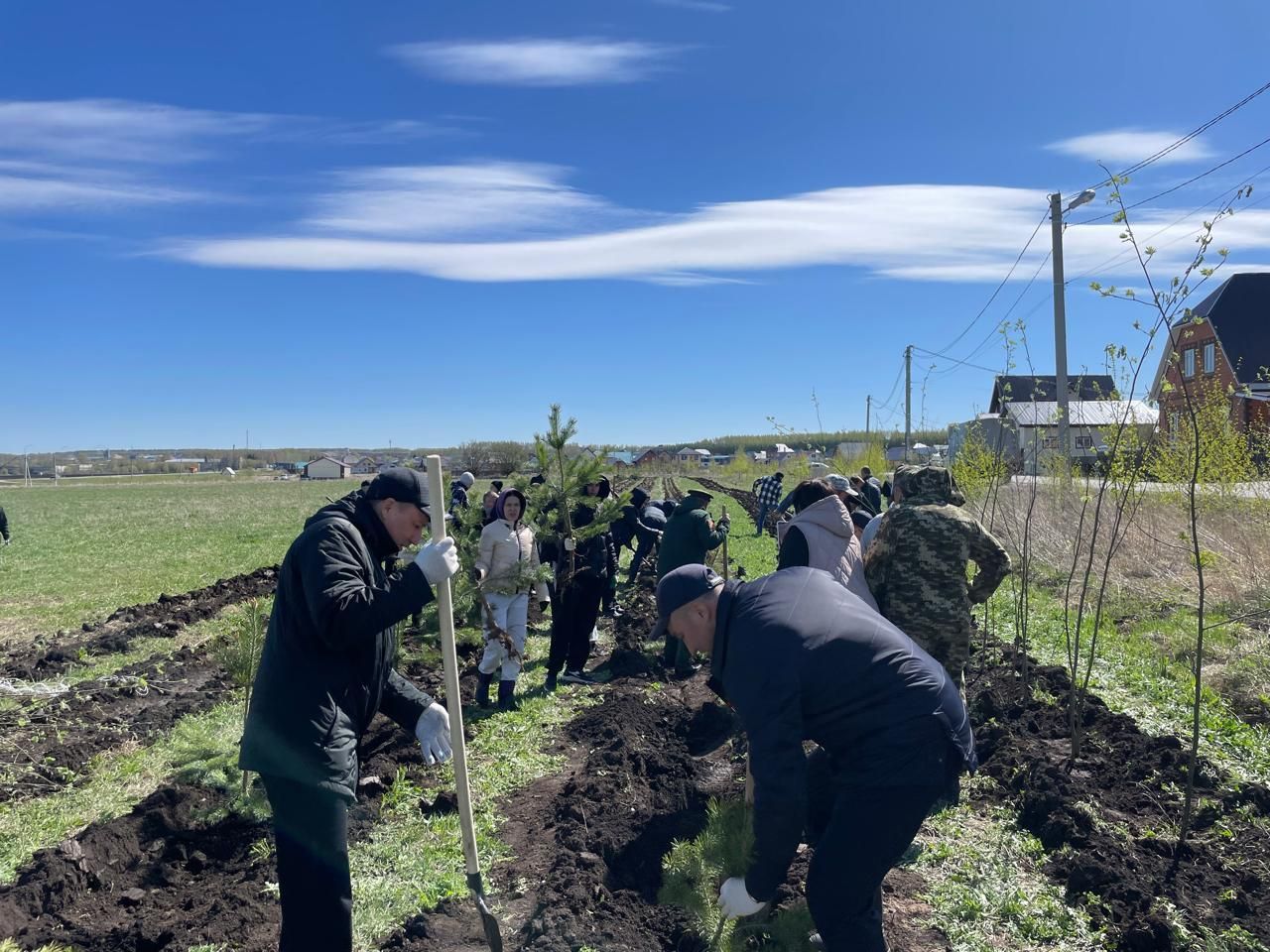 Бөек Җиңүнең 80 еллыгы уңаеннан Балтачта  җитәкчеләр агачлар утырттылар