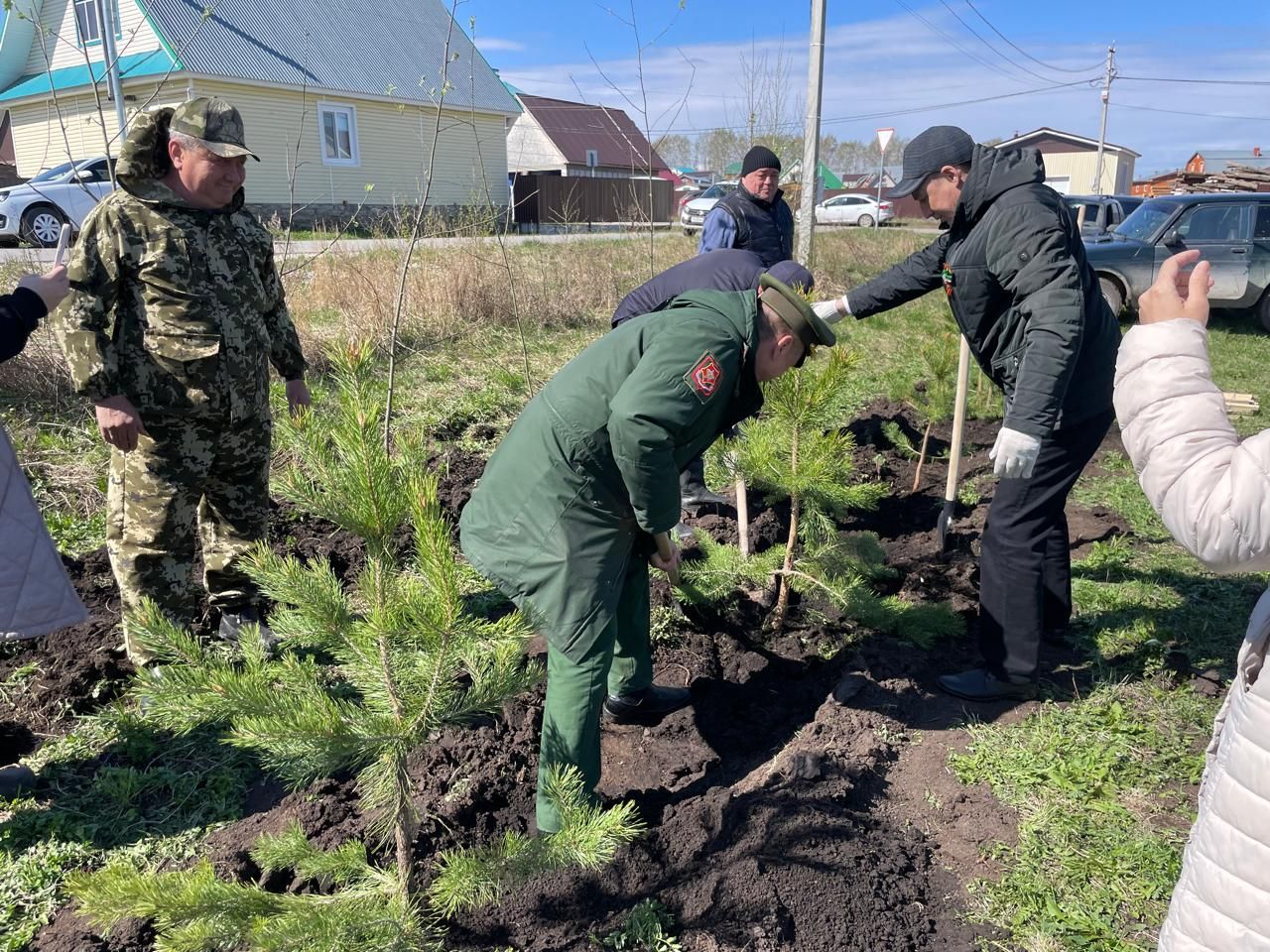 Бөек Җиңүнең 80 еллыгы уңаеннан Балтачта  җитәкчеләр агачлар утырттылар