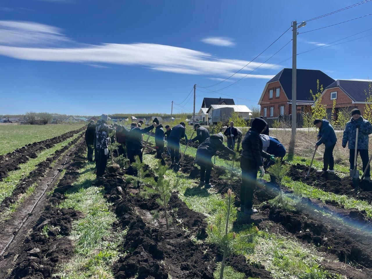 Бөек Җиңүнең 80 еллыгы уңаеннан Балтачта  җитәкчеләр агачлар утырттылар
