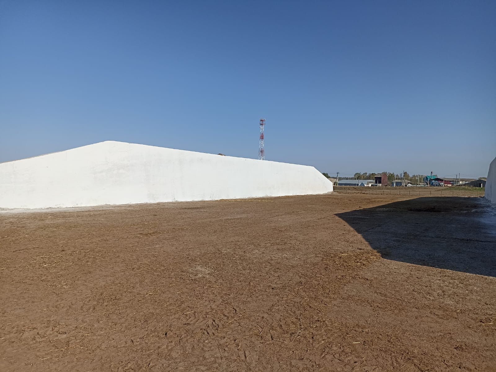 «Бөрбаш» җәмгыятендә терлек азыгы хәзерләүгә бик җаваплы карыйлар