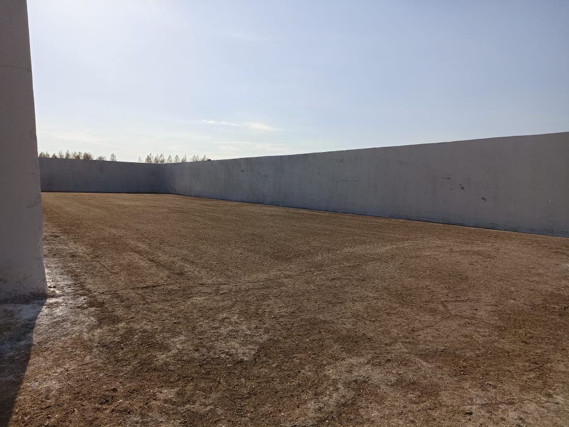 «Бөрбаш» җәмгыятендә терлек азыгы хәзерләүгә бик җаваплы карыйлар