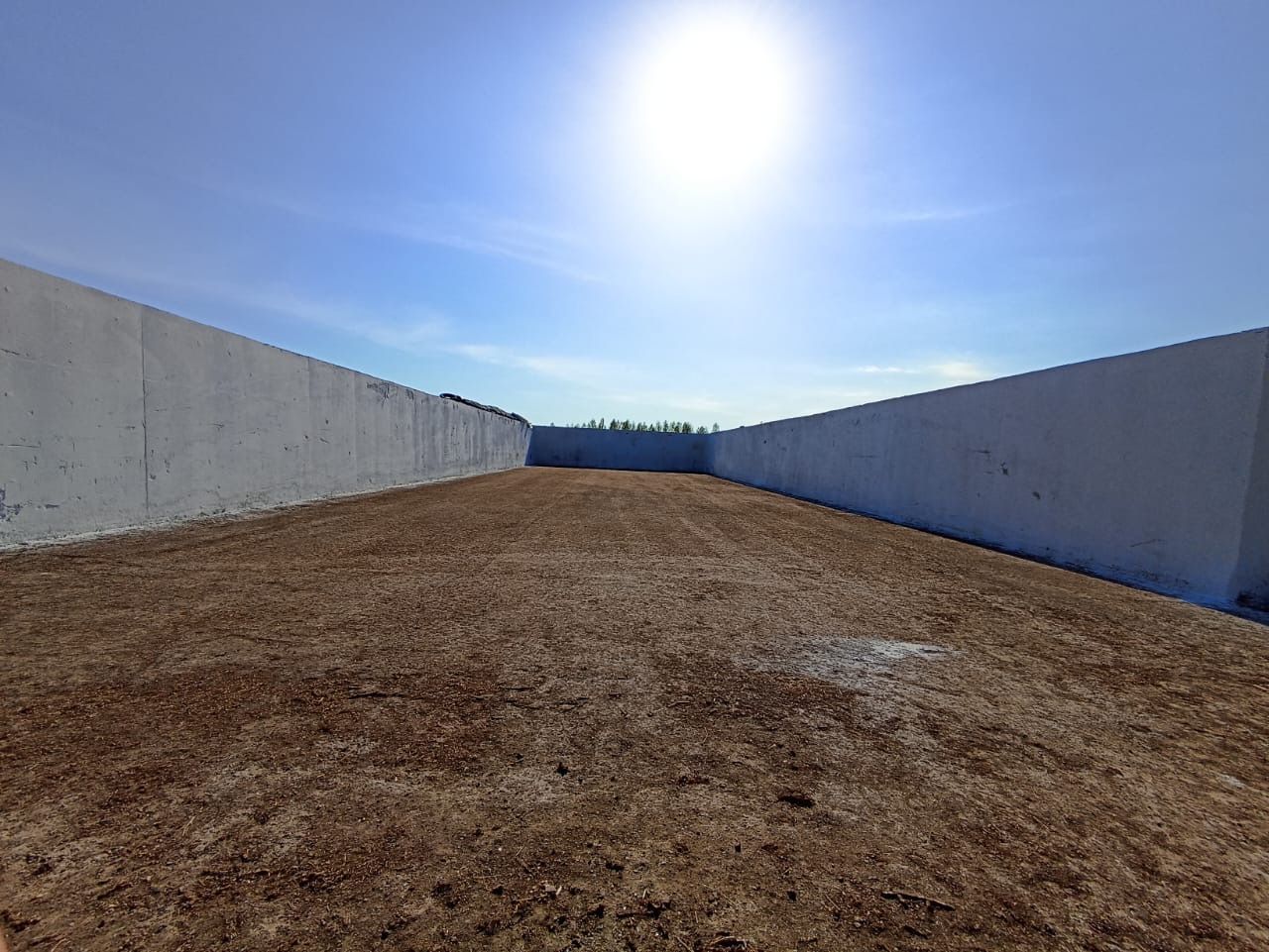 «Бөрбаш» җәмгыятендә терлек азыгы хәзерләүгә бик җаваплы карыйлар