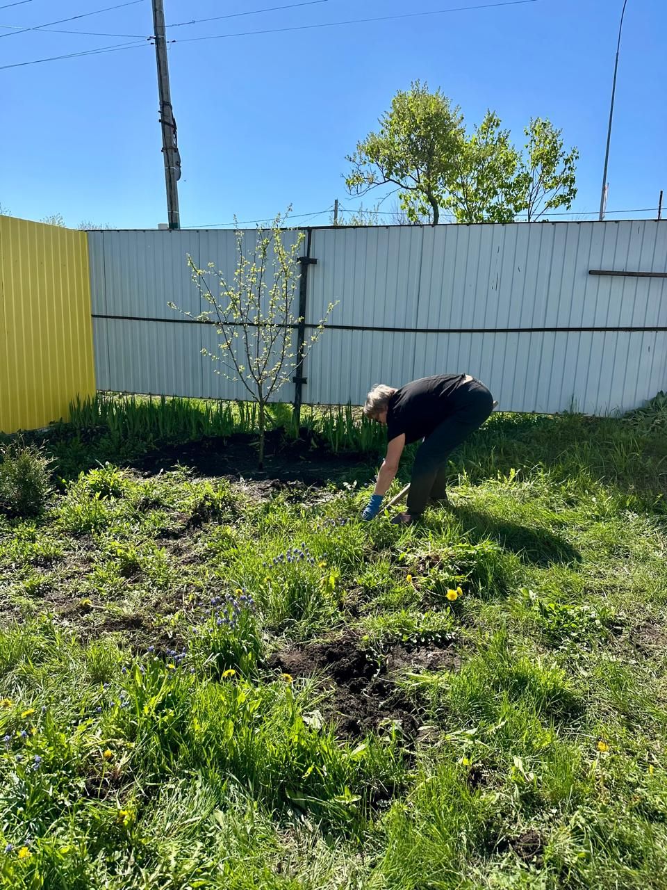 «Хезмәт»леләр изге эштә