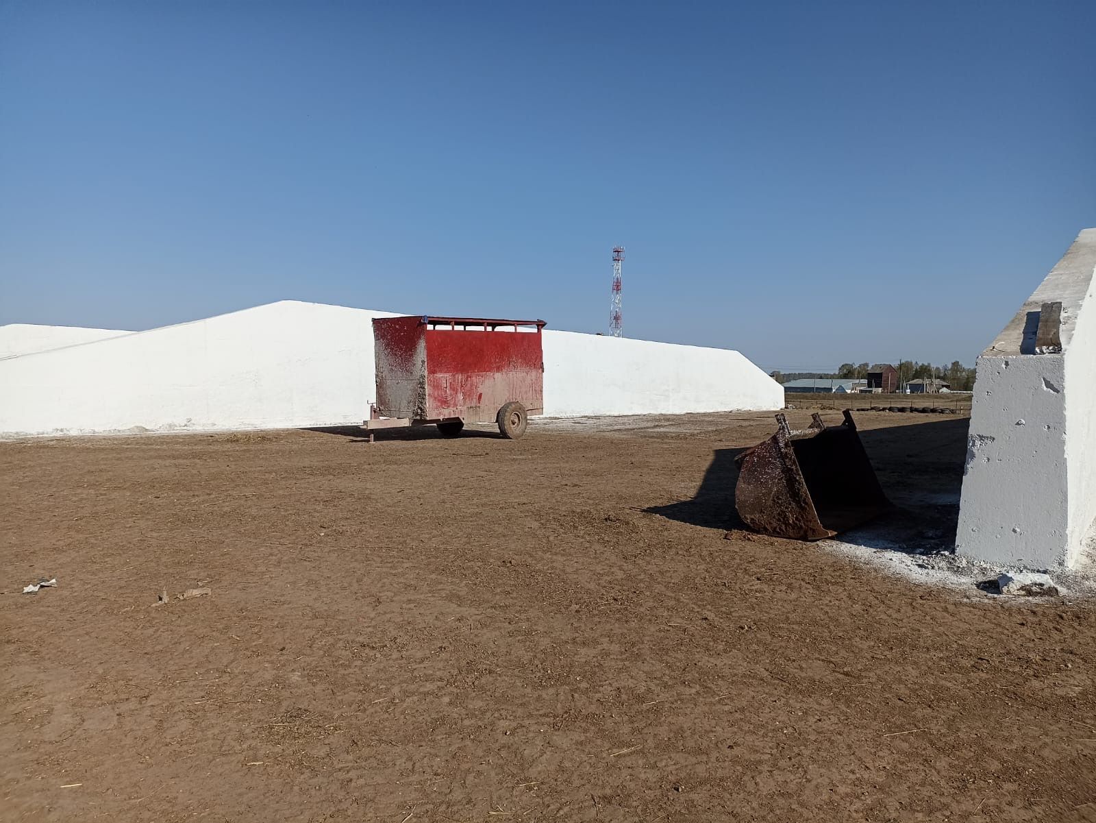 «Бөрбаш» җәмгыятендә терлек азыгы хәзерләүгә бик җаваплы карыйлар