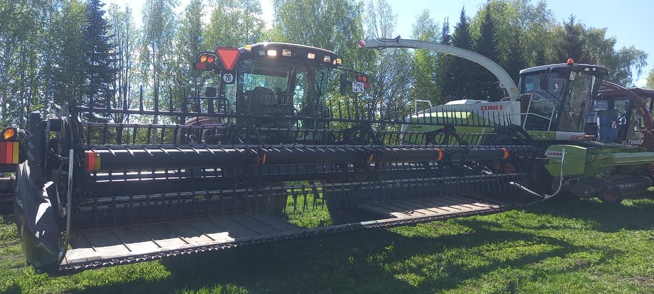 «Бөрбаш» җәмгыятендә терлек азыгы хәзерләүгә бик җаваплы карыйлар