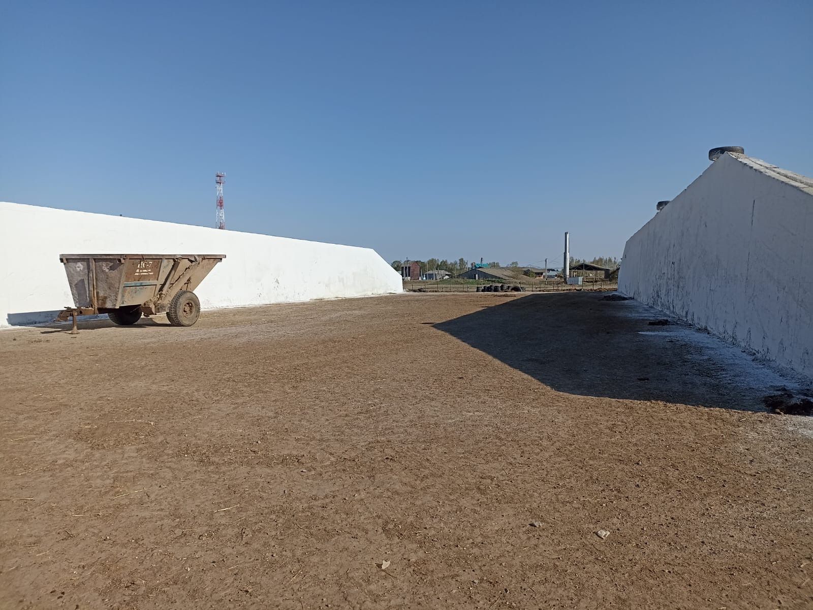 «Бөрбаш» җәмгыятендә терлек азыгы хәзерләүгә бик җаваплы карыйлар