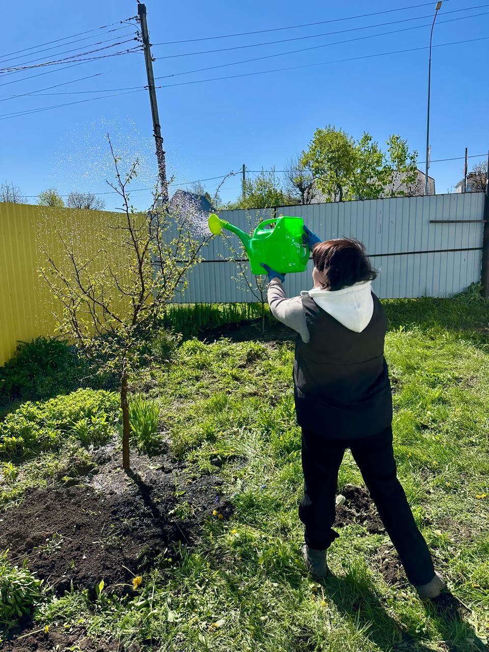 «Хезмәт»леләр изге эштә