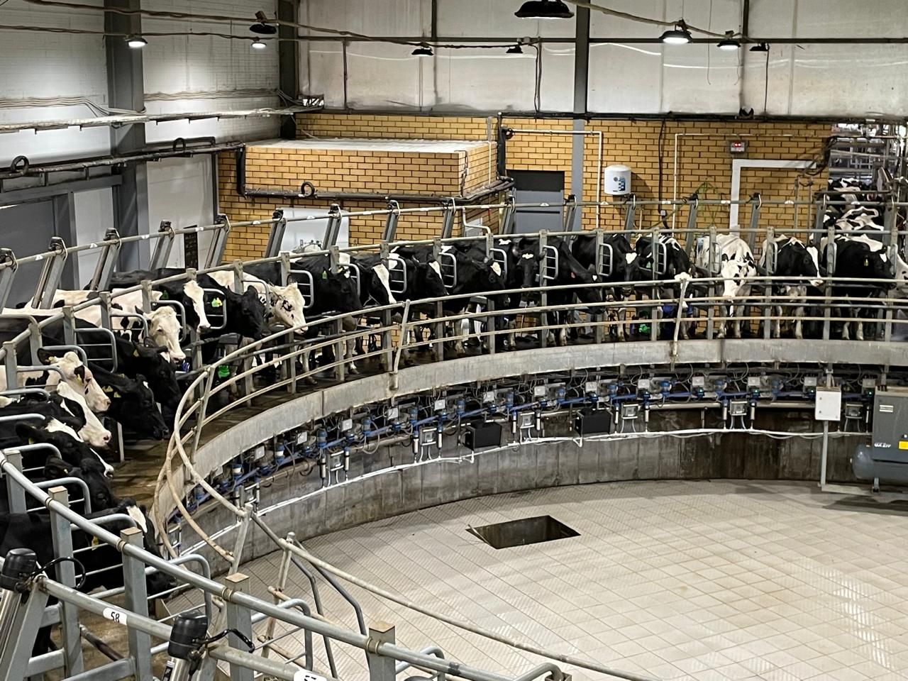 Миңнеханов Балтач районы кырларын карады һәм терлекчелек фермасында булды