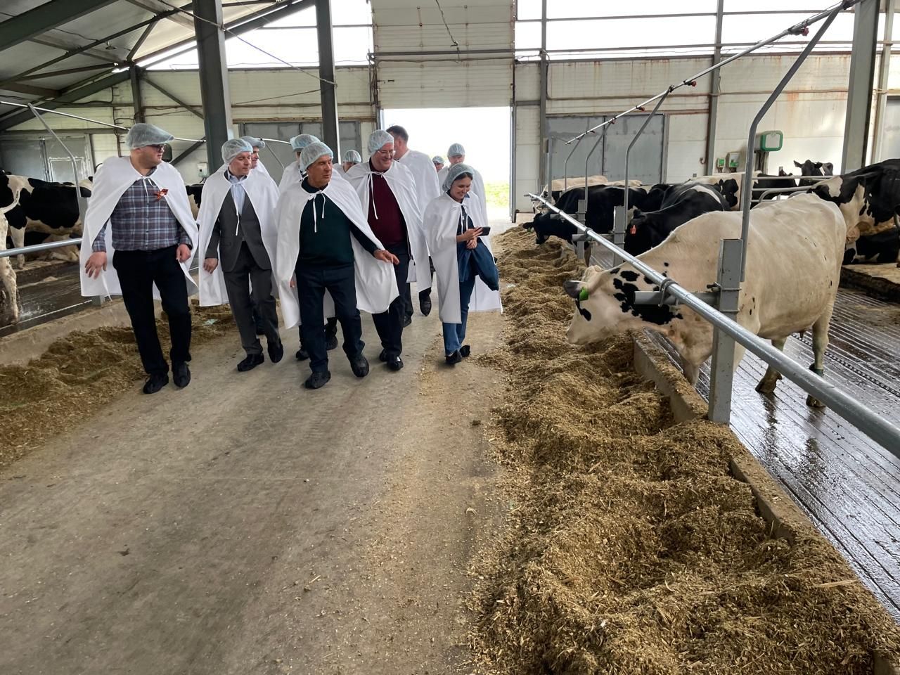 Миңнеханов Балтач районы кырларын карады һәм терлекчелек фермасында булды