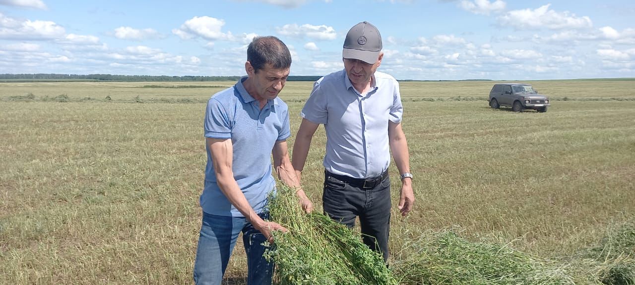 Алмаз Нәбиев терлек азыгы хәзерләү кампаниясе кысаларында үткәрелүче конкурсның икенче атна җиңүчесе булып танылды