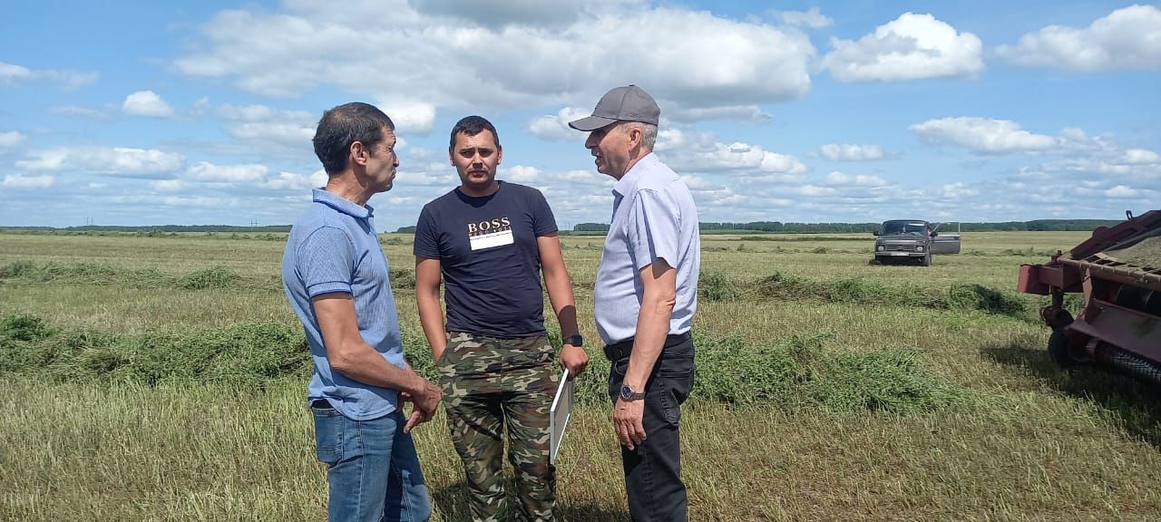 Алмаз Нәбиев терлек азыгы хәзерләү кампаниясе кысаларында үткәрелүче конкурсның икенче атна җиңүчесе булып танылды