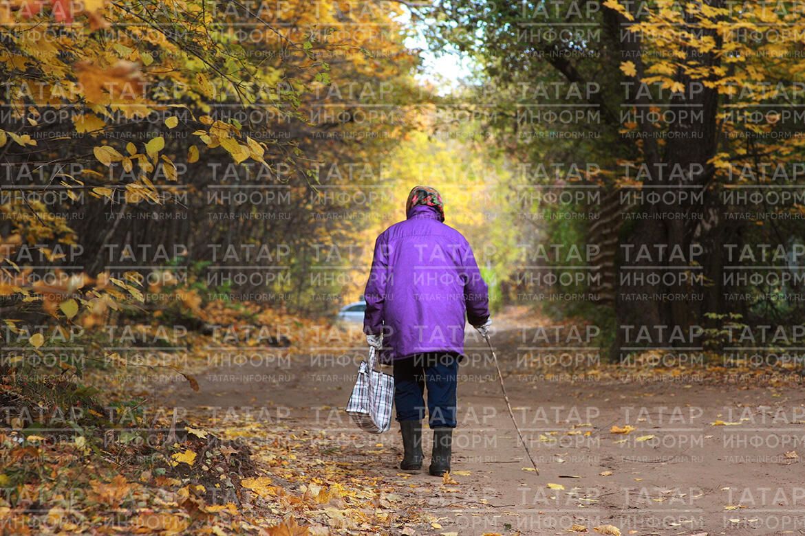 «Киленгә сүз әйтеп кара син, тетмәңне тетә. Улым да шундыйга әйләнде...»