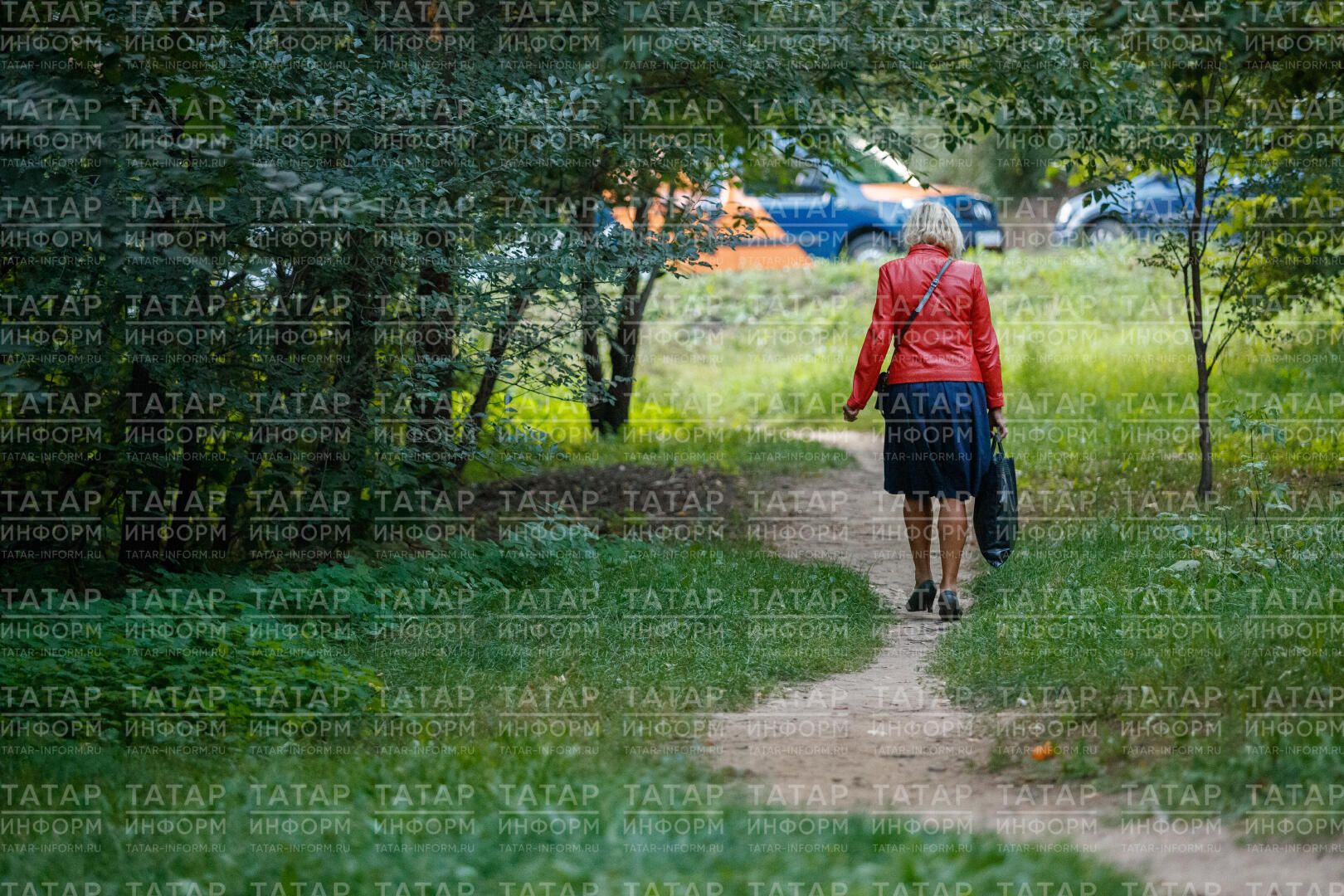 Тозак (бәян)