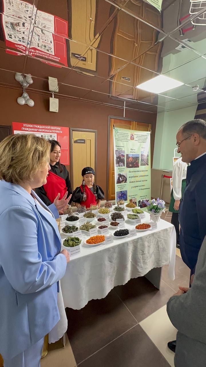 Балтачта белем һәм тәрбия бирү учреждениеләренең һөнәри юнәлеш буенча күргәзмәсе тәкъдим ителде