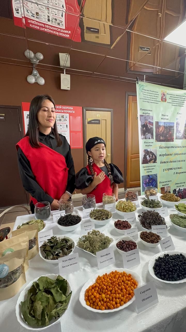 Балтачта белем һәм тәрбия бирү учреждениеләренең һөнәри юнәлеш буенча күргәзмәсе тәкъдим ителде