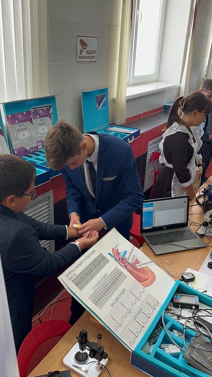 Балтачта белем һәм тәрбия бирү учреждениеләренең һөнәри юнәлеш буенча күргәзмәсе тәкъдим ителде