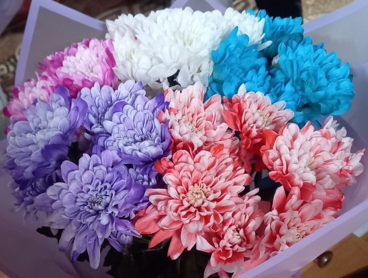 Һөнәри бәйрәмнәре уңаеннан балтачлылар район башлыгының Рәхмәт хаты белән бүләкләнделәр