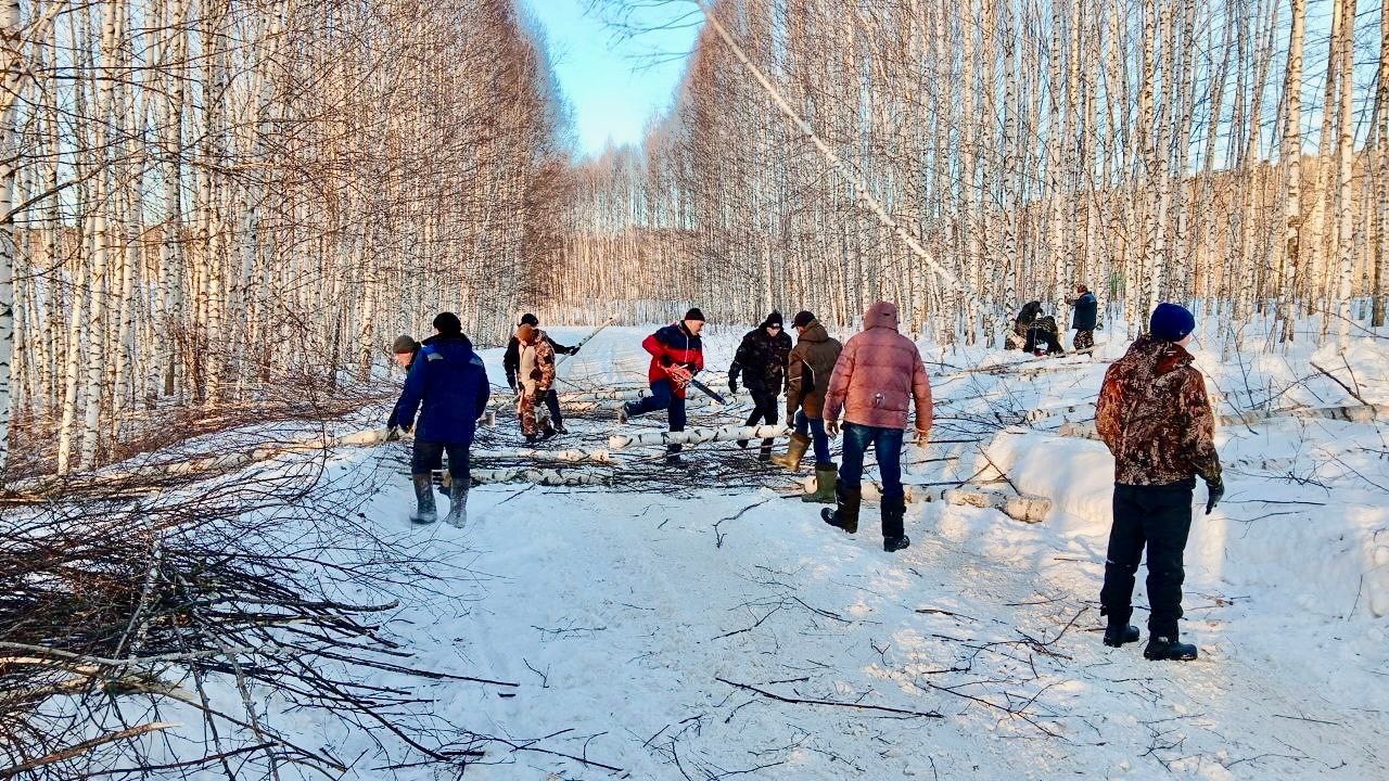 Балтач районы үзенең геройлары гаиләләренә утын белән булыша