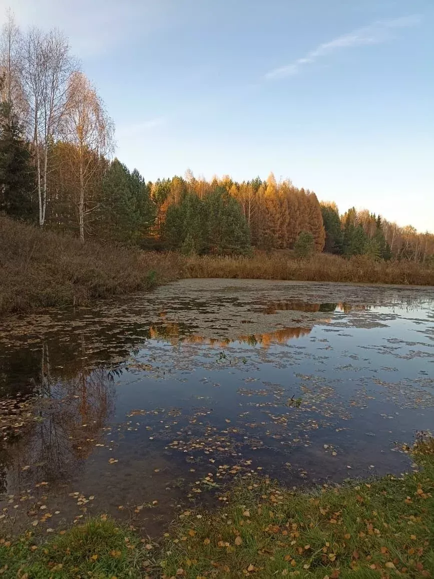 Республикада октябрьнең соңгы көннәре һәм ноябрьнең беренче көне явым-төшемсез узачак