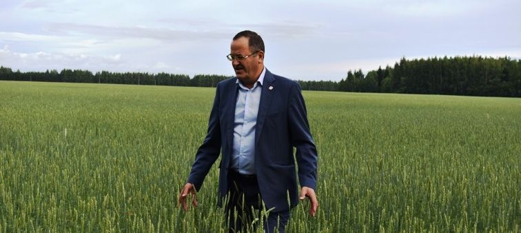 Октябрьнең икенче якшәмбесе – Авыл хуҗалыгы һәм эшкәртү сәнәгате хезмәткәрләре көне