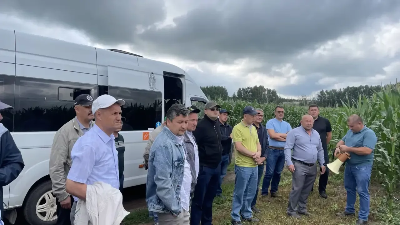 Балтачта җитәкчеләр кырларга чыкты
