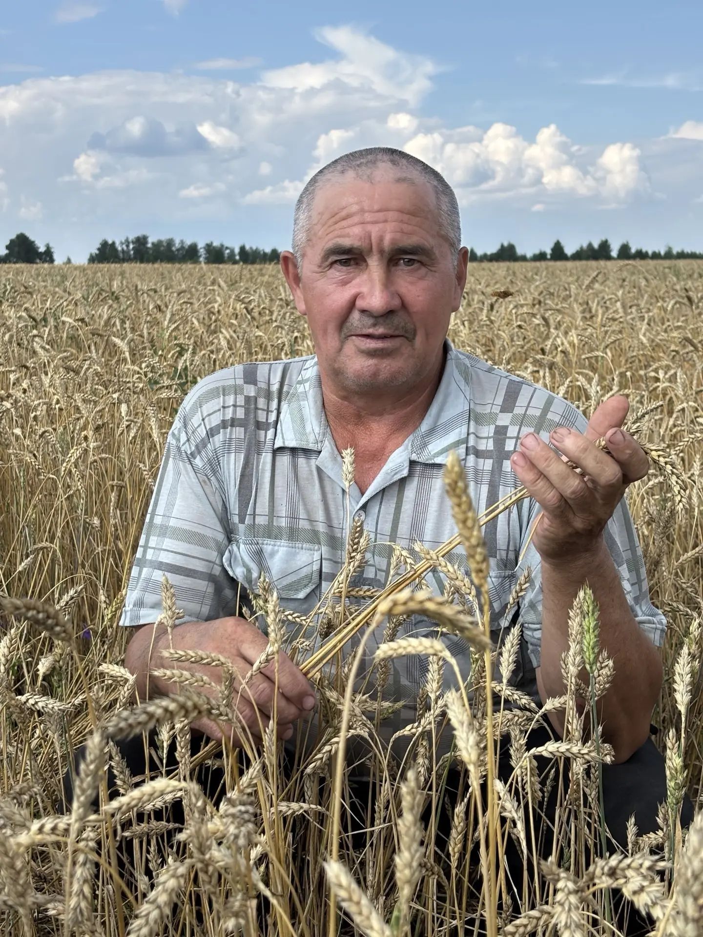 Җәйрәп яткан иген кырларында эшләр гөрли
