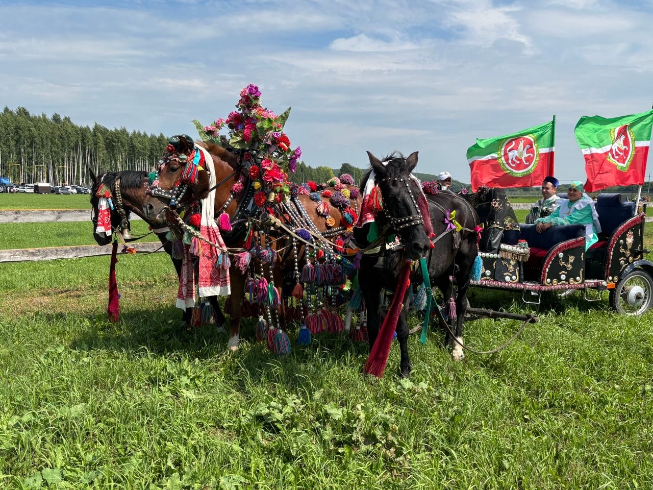 Аргамаклар очар коштай канатлана