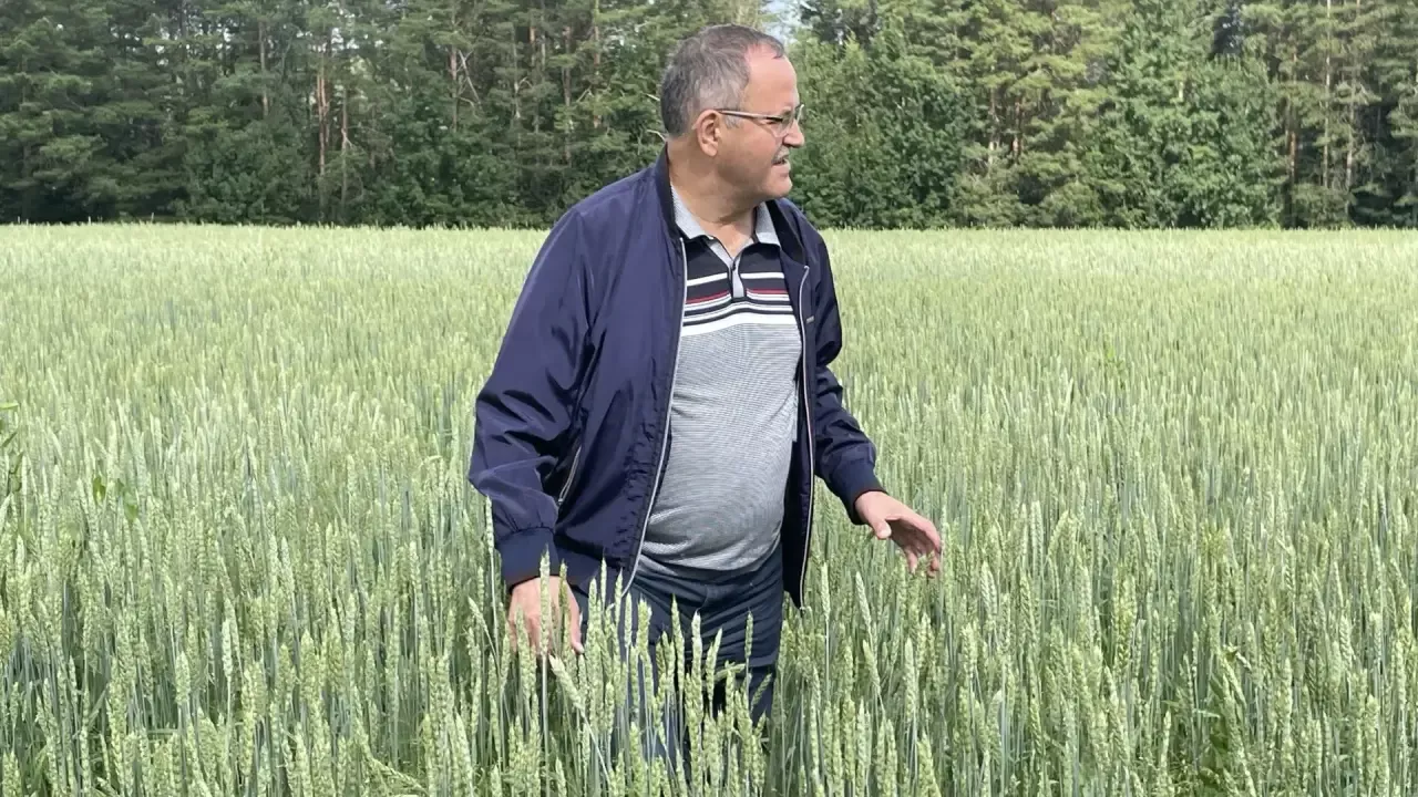 Рамил Нотфуллин хуҗалык җитәкчеләре белән иген кырларын карап чыкты