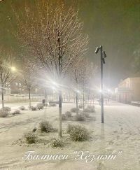 Сынауларның бер төре