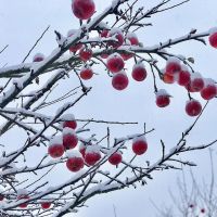 Татарстанда көчле суыклар фаразлана -температура -27°ка кадәр төшәргә мөмкин