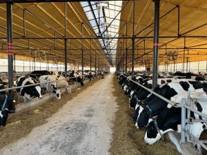 Әтнәдә булган хәлдән соң да сабак ала белмиләр