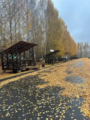 27 октябрьдә +14 градуска кадәр җылы, явым-төшемсез булачак
