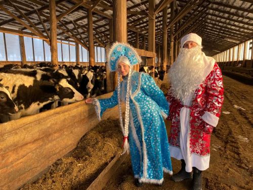 Балтачта профсоюз Кыш бабае кабат юлга кузгалган (+бик күп фото)
