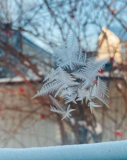 Синоптиклар аномаль салкыннарга көчле җил өстәләчәге хакында кисәтте
