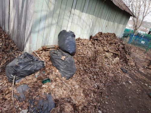 Болай  пөхтә дә, матур да түгел... (фото)