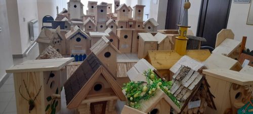 Балтач сыерчык ояларына баеды (фото)