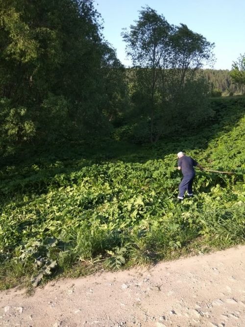 Көшкәтбашта көрәш башланган. Нинди? (фото)