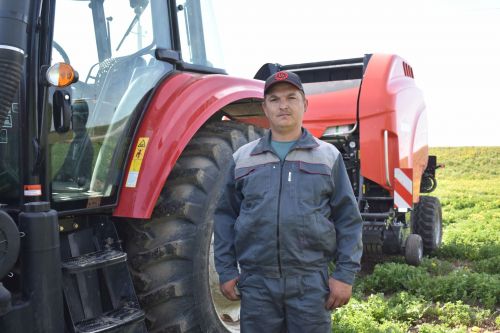 Терлек азыгы әзерләүгә керештеләр