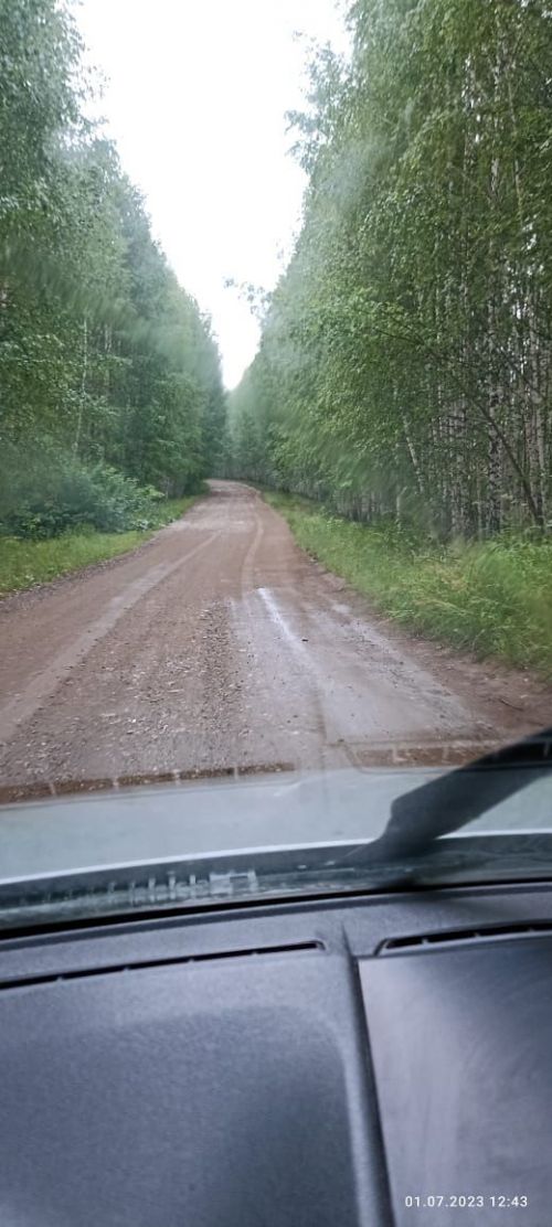 Безне ишеткәннәр бит (фото)
