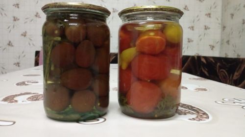 Кишер яфрагы белән маринадланган помидор рецепты
