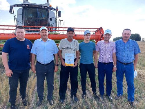 «Кызыл юл» күмәк хуҗалыгы комбайнчылары батырлык үрнәкләре күрсәтеп эшлиләр  (фото)
