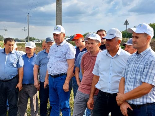Иртә торсаң ит пешә...